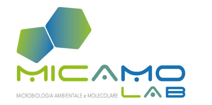 Micamo - Formed